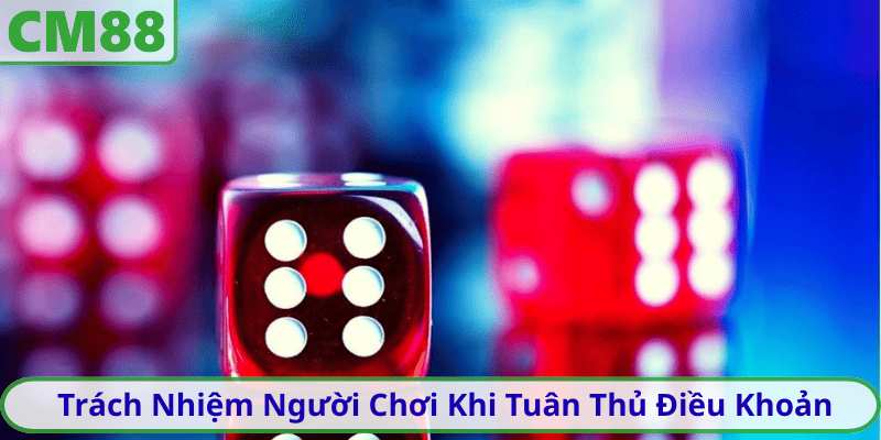 Trách Nhiệm Người Chơi Khi Tuân Thủ Điều Khoản