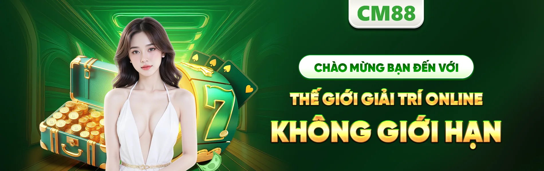 banner CM88 3